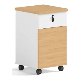 kontener-biurowy-angel-loft-work-z-szafka-kolor-bialy-drewno-sekwoi