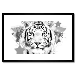 plakaty-w-ramie-60x40-tygrys-glowa-grafika
