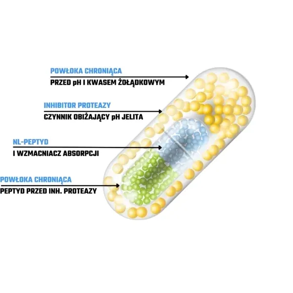 anairui copper peptides ghk cu serum Epithalon (Epitalon) – 10mg-50mg - Bulk Supply