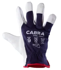 12x-rekawice-cabra-polstar-rsca-11