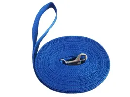 smycz-dla-psa-treningowa-mocna-tasma-5m-25cm-alepiesio