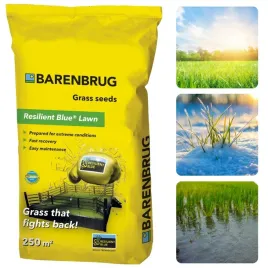 trawa-barenbrug-resilient-blue-lawn-uniwersalna-5kg