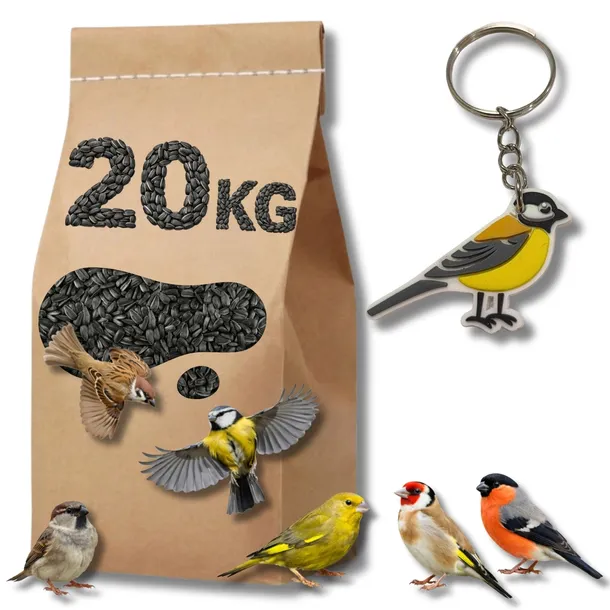 Słonecznik Czarny Karma Ziarno Dla Ptaków 20KG + GRATIS