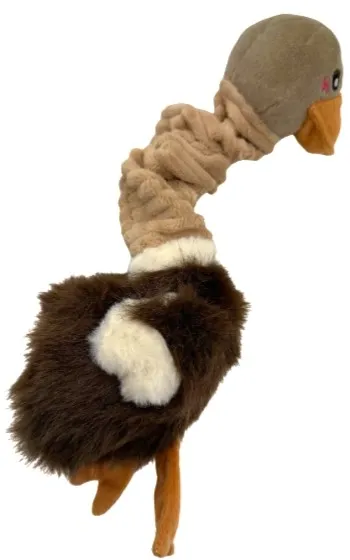 zippy-paws-bungee-strus