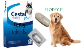 cestal-plus-tabletki-na-odrobaczenie-dla-psa-sprzedaz-na-sztuki