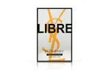libre-l-absolu-platine-12ml