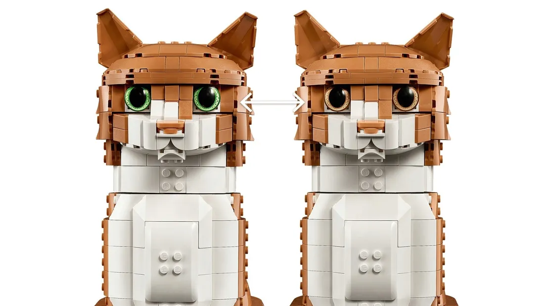 lego-ideas-21376-rudy-kot