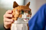 lego-ideas-21376-rudy-kot-certyfikaty-opinie-atesty-ce-fsc