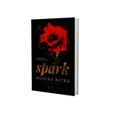 spark-stan-nowy