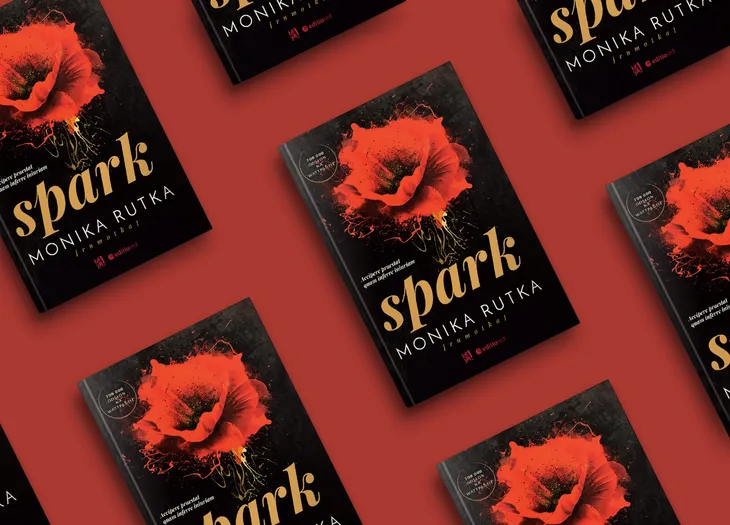 spark-okladka-miekka