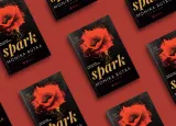 spark-okladka-miekka