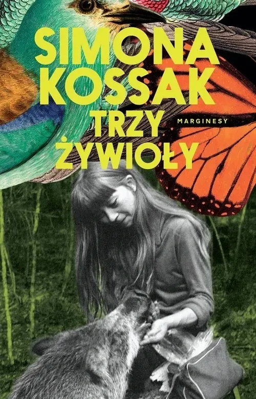 trzy-zywioly