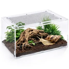 terrarium-dla-pajakow-owadow-akrylowe-repti-zoo-pacr88-acrylic-30x20x15cm