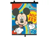 roleta-36x45-cm-mickey