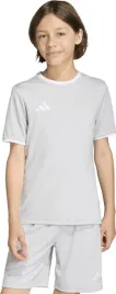 koszulka-dla-dzieci-adidas-entrada-26-jersey-szara-jz2525-rozm-140cm