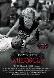 przynagleni-miloscia-dvd-heidi-baker-rolland-baker