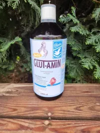 glutamin-1-l-backs