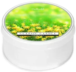 daylight-swieczka-daffodil-classic-candle