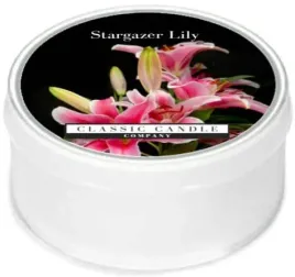 daylight-swieczka-stargazer-lily-classic-candle