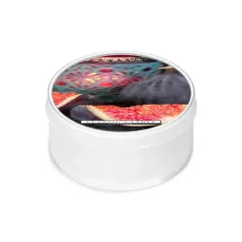 daylight-swieczka-black-fig-classic-candle