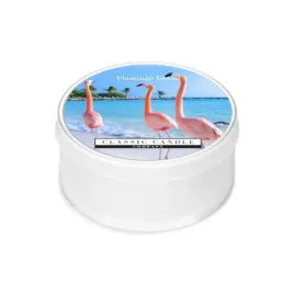 daylight-swieczka-flamingo-island-classic-candle