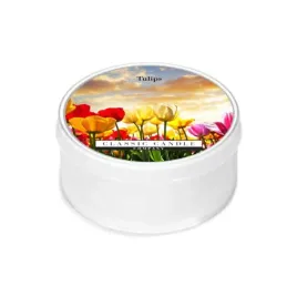 daylight-swieczka-tulips-classic-candle