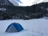 namiot-aretus-pop-up-eagle-tent-4-osobowy-rodzaj-turystyczne
