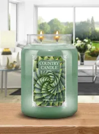 duza-swieca-spiral-aloe-country-candle