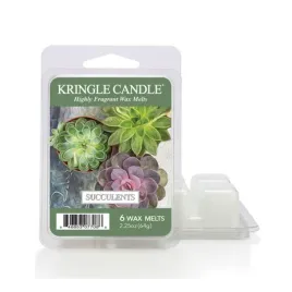 wosk-zapachowy-succulents-kringle-candle
