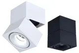 plafon-gedon-12w-wh