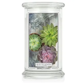 duza-swieca-succulents-kringle-candle
