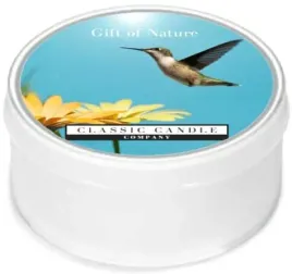 daylight-swieczka-gift-of-nature-classic-candle