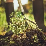 kultywator-3-zebny-150mm-xact-dlugosc-narzedzia-172-cm