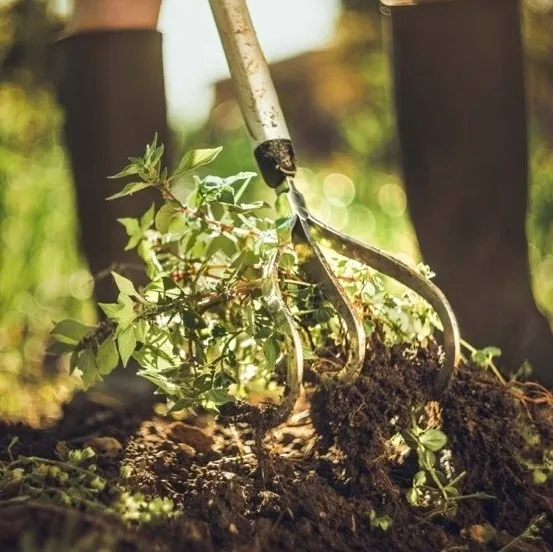 kultywator-3-zebny-150mm-xact