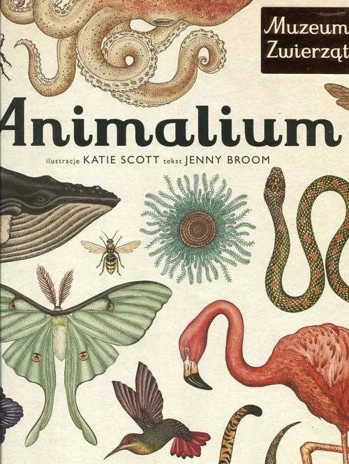 animalium