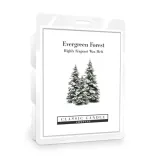 wosk-evergreen-forest-classic-candle