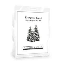 wosk-evergreen-forest-classic-candle