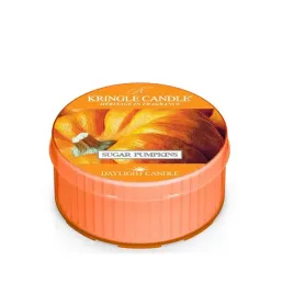 daylight-swieczka-sugar-pumpkins-kringle-candle