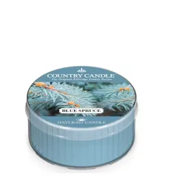 daylight-swieczka-blue-spruce-country-candle