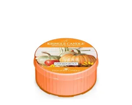 daylight-swieczka-gourdgeous-kringle-candle
