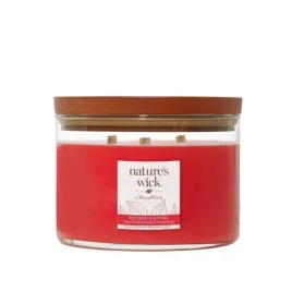 duza-swieca-redberry-and-nutmeg-natures-wick-woodwick