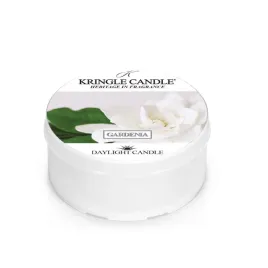 daylight-swieczka-gardenia-kringle-candle