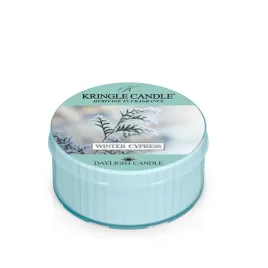 daylight-swieczka-winter-cypress-kringle-candle