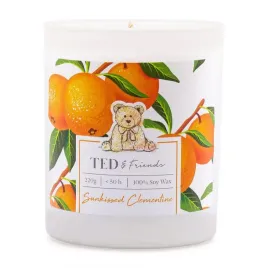 srednia-swieca-sojowa-sunkissed-clementine-ted-and-friends
