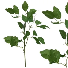 galazka-morningglory-dekoracyjna-roslinka-do-domu-ozdabiania-kwiatow-zielen