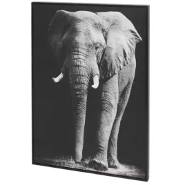 artystyczne-plotno-obraz-na-sciane-slon-28x38cm