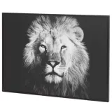 artystyczne-plotno-obraz-na-sciane-lew-38x28cm