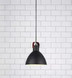lampa-wiszaca-eagle-106552-markslojd-rodzaj-lampy-sufitowe-wiszace