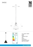 lampa-wiszaca-eagle-106552-markslojd-kolor-czarny