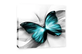 obraz-motyl-turkusowy-70x70